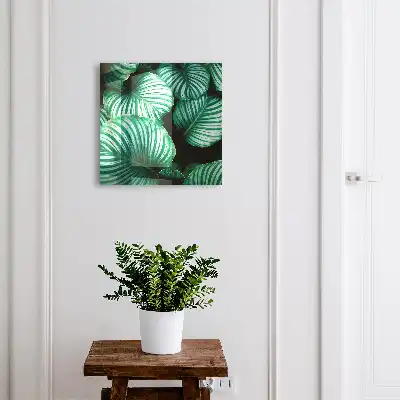 Groene bladstructuur wanddecoratie