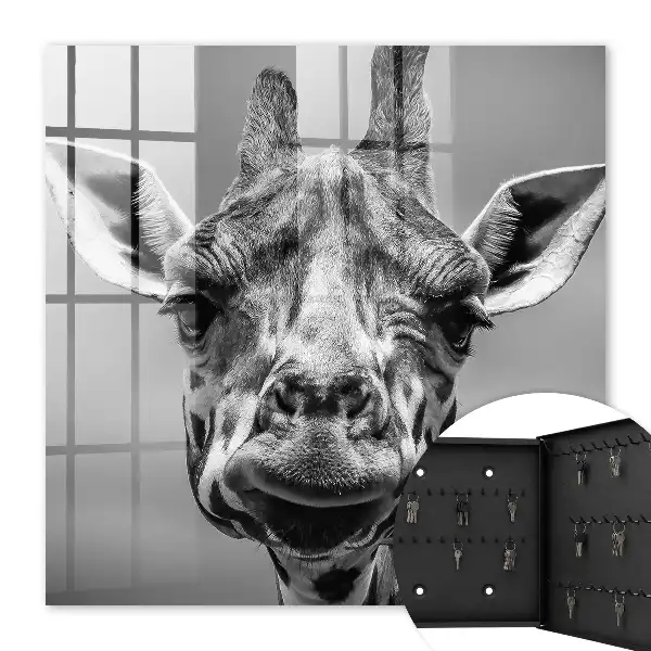Giraffeportret in zwart-wit