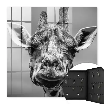 Giraffeportret in zwart-wit