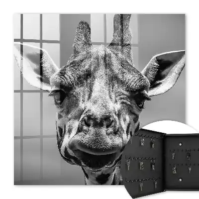 Giraffeportret in zwart-wit