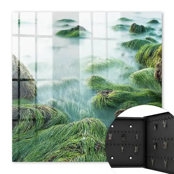 Groene golven zonder de nevel