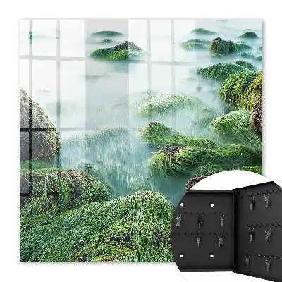 Groene golven zonder de nevel
