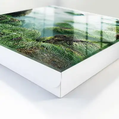 Groene golven zonder de nevel