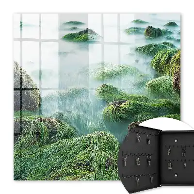 Groene golven zonder de nevel