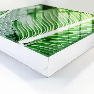 Het groen van de natuur in lijnen