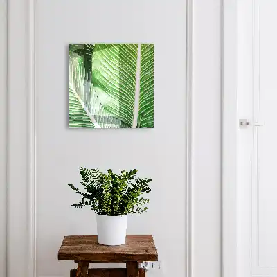 Het groen van de natuur in lijnen