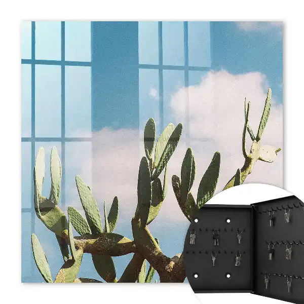 Groene cactus met blauwe lucht