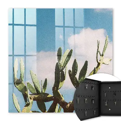 Groene cactus met blauwe lucht