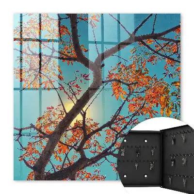 Herfstboom met blauwe lucht