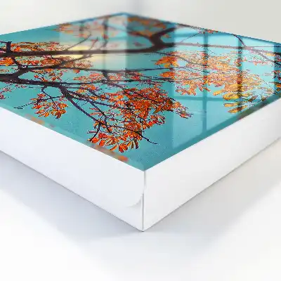 Herfstboom met blauwe lucht