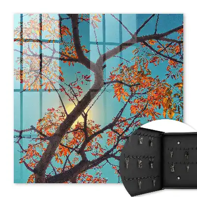 Herfstboom met blauwe lucht