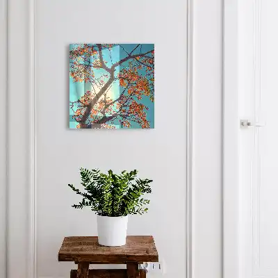 Herfstboom met blauwe lucht