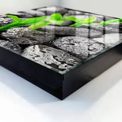 De groene aard van natte stenen