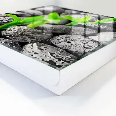 De groene aard van natte stenen