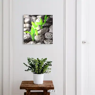 De groene aard van natte stenen