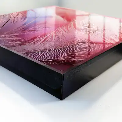 Prachtige roze en blauwe veren