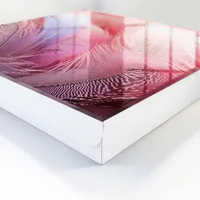 Prachtige roze en blauwe veren