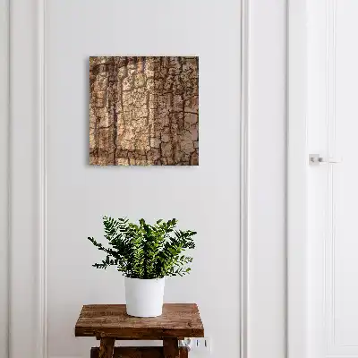 Boomschors met natuurlijk patroon
