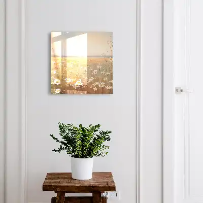 De bloemenweide met madeliefjes