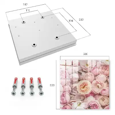 Rozen met een charmante delicate kleur