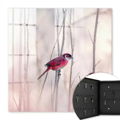 Twee vogels in zachte kleuren