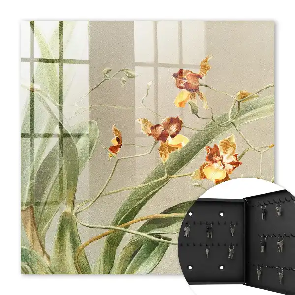 Bloemen, klimplanten en groene vegetatie