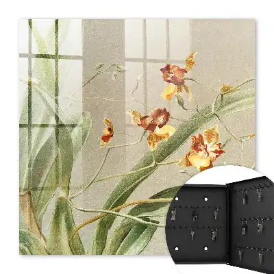 Bloemen, klimplanten en groene vegetatie