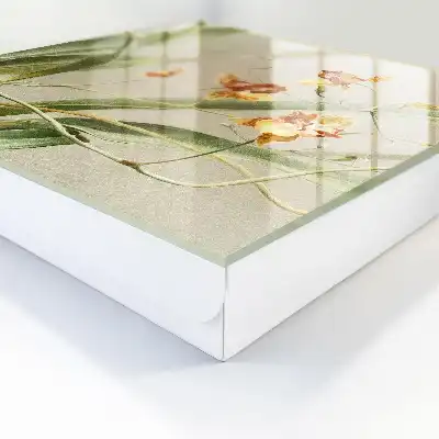 Bloemen, klimplanten en groene vegetatie