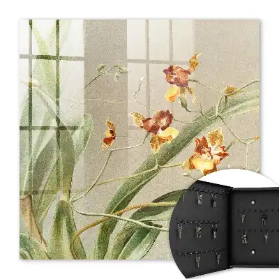 Bloemen, klimplanten en groene vegetatie