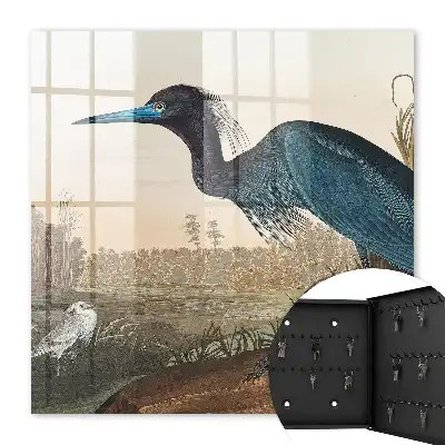 Exotische vogel tussen de vegetatie