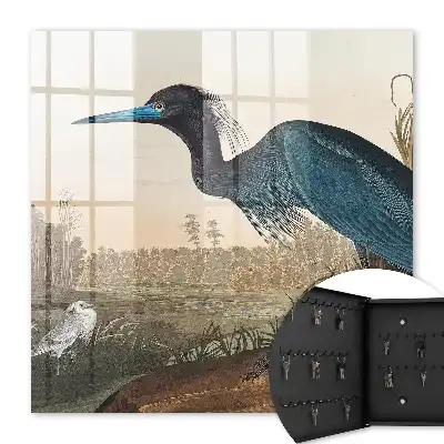 Exotische vogel tussen de vegetatie