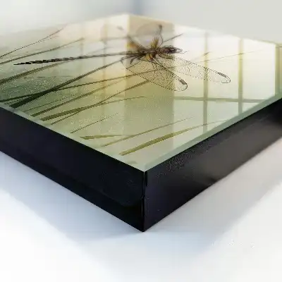Libel natuurlijke elegantie