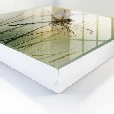Libel natuurlijke elegantie