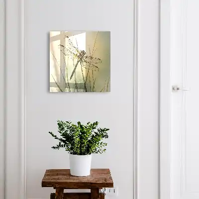 Libel natuurlijke elegantie