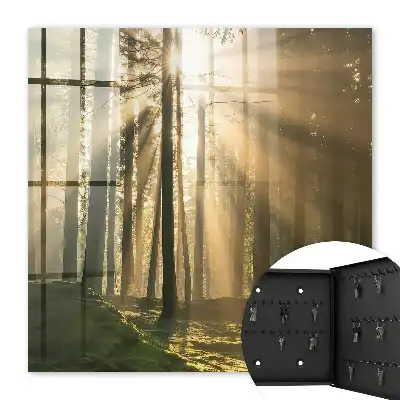 Boslicht met magische sfeer