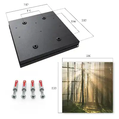 Boslicht met magische sfeer