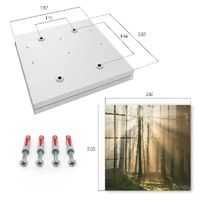 Boslicht met magische sfeer