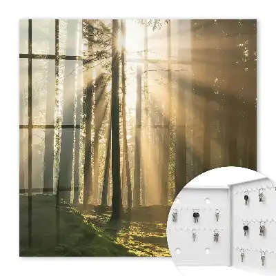 Boslicht met magische sfeer