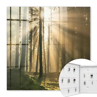 Boslicht met magische sfeer