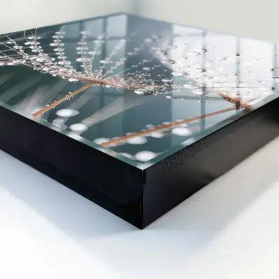 Waterdruppels in de grassprieten