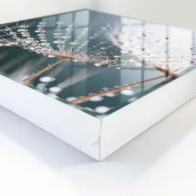 Waterdruppels in de grassprieten