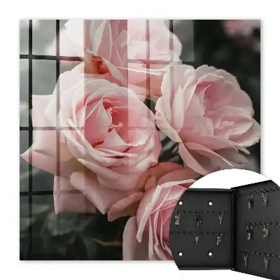 Roze rozen in volle bloei