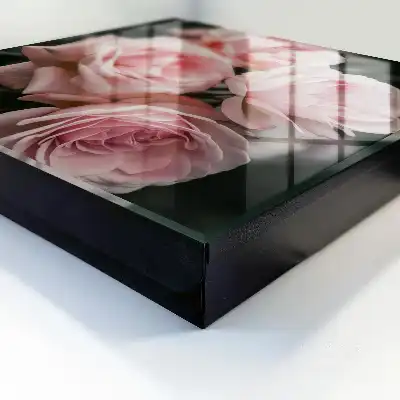 Roze rozen in volle bloei