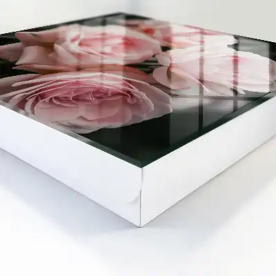 Roze rozen in volle bloei