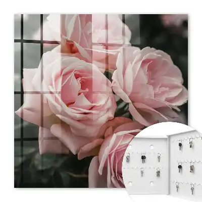 Roze rozen in volle bloei