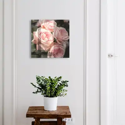Roze rozen in volle bloei