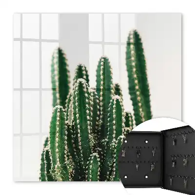 Groene cactussen in moderne stijl