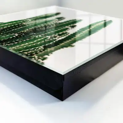 Groene cactussen in moderne stijl
