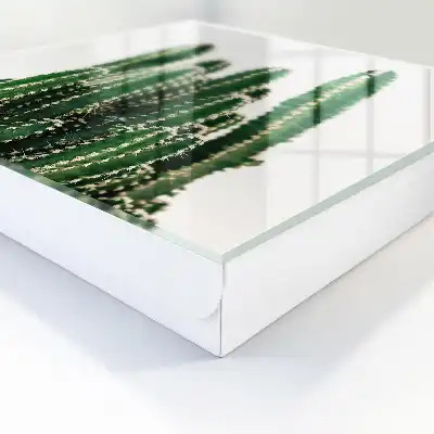 Groene cactussen in moderne stijl