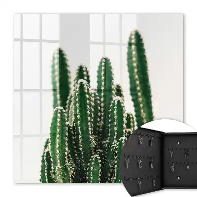 Groene cactussen in moderne stijl